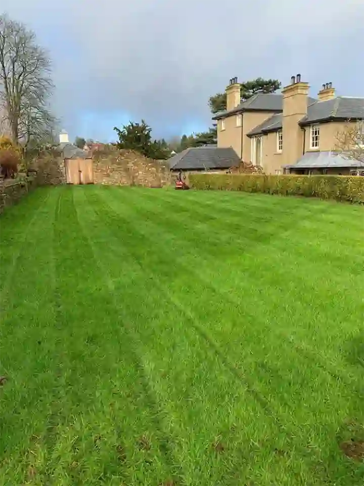 Aerated Lawn