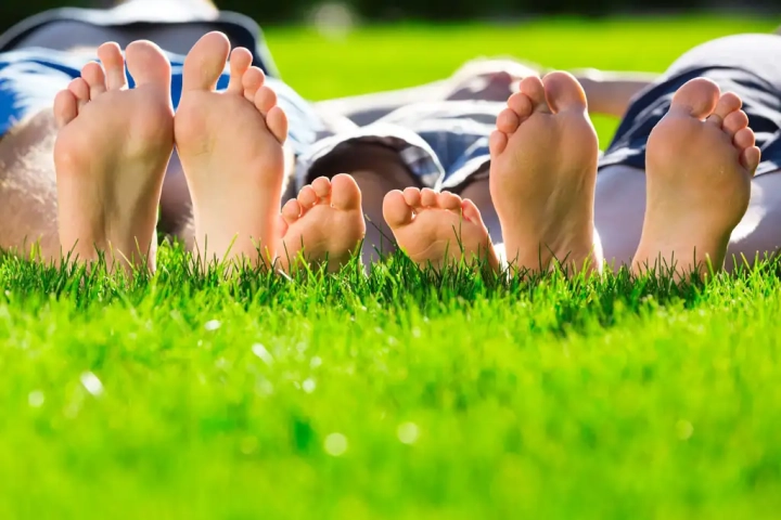 Lawn Treatment Spring