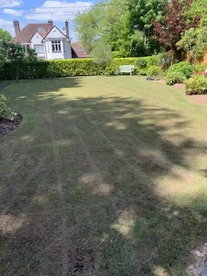 Lawn Restoration