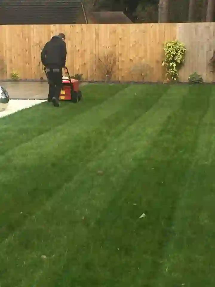 Lawn Aeration