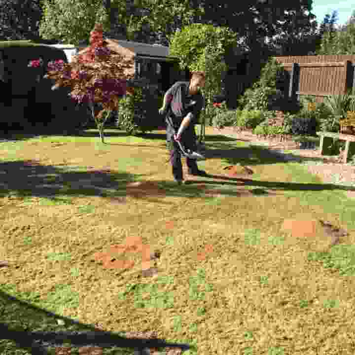 Lawn being restored