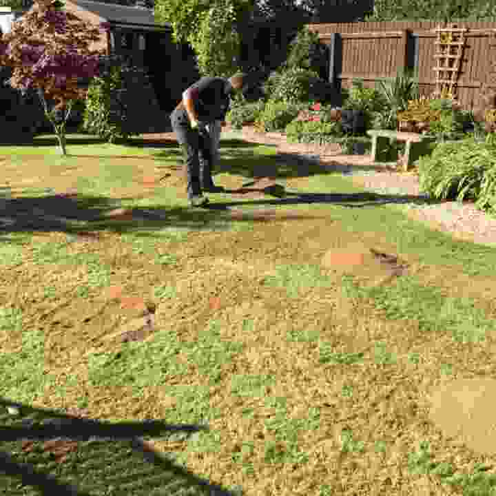 Restoration of Lawn