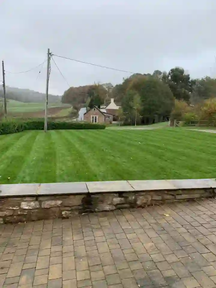 Lawn aeration