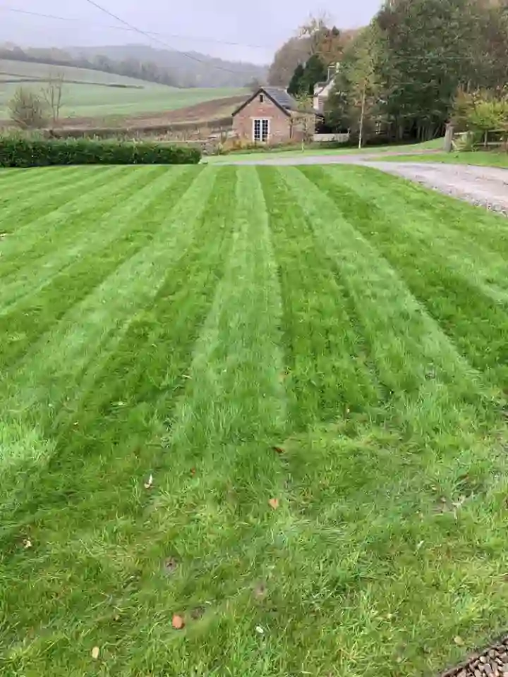 Lawn that has been aerated