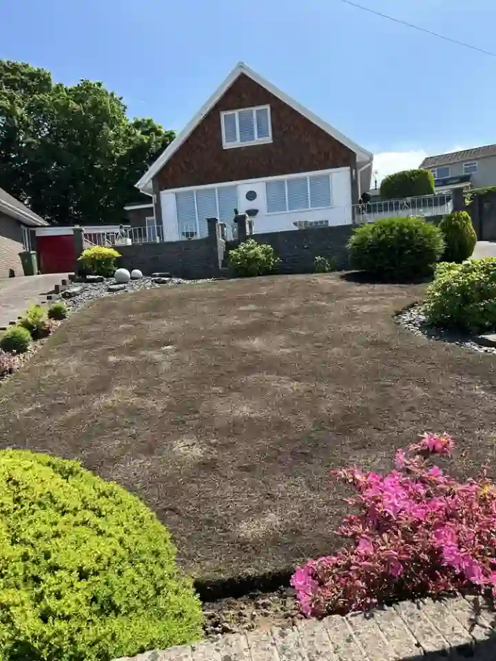 Lawn in need of restoration