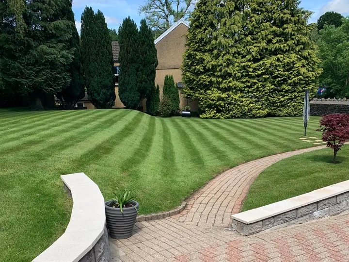 Stripes Lawn Care