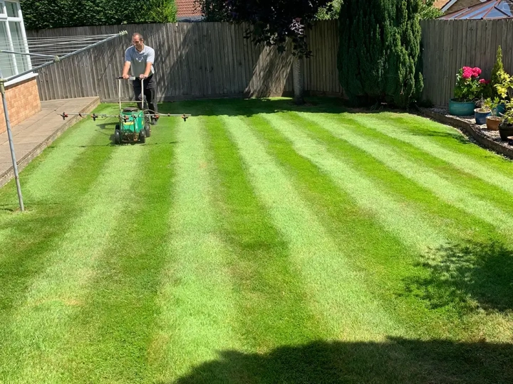 Lawn Treatment