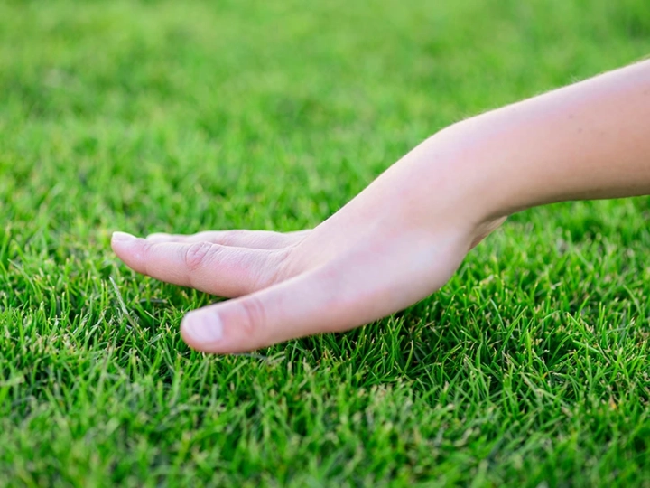 Wetting Agent Treatment