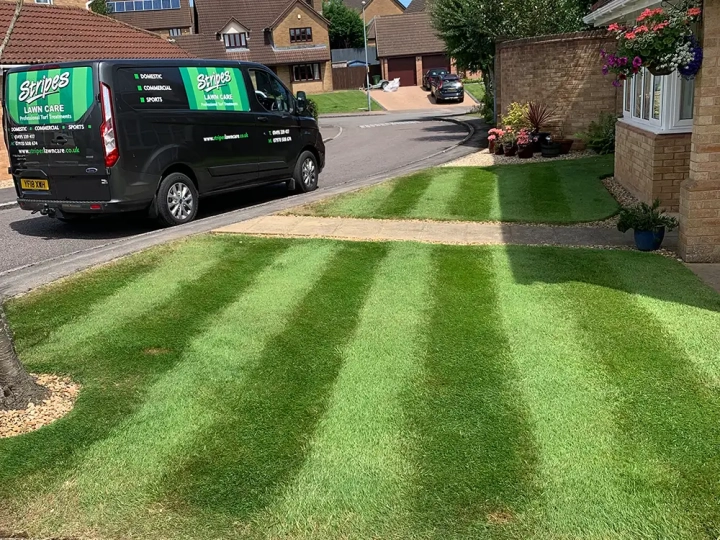 Stripes Lawn Care